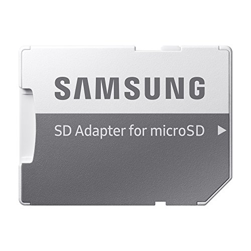 Samsung EVO Select - Tarjeta de Memoria microSDXC de 64 GB con Adaptador SD, 100 MB/s, U3, Color Verde y Blanco