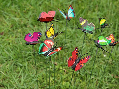 SecretRain Diseño de Hada del jardín en Miniatura Botes para Especias de Flores diseño con Texto en inglés de Maceta 10 Piezas de Colores Brillante de Mariposa de Vinilo