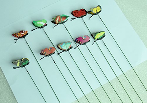 SecretRain Diseño de Hada del jardín en Miniatura Botes para Especias de Flores diseño con Texto en inglés de Maceta 10 Piezas de Colores Brillante de Mariposa de Vinilo