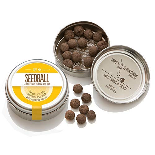 SEEDBALL Wild Flores Semillas Bombas/Semillas Pelotas: Abejas de Mezcla