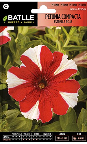 Semillas de Flores - Petunia Compacta estrella roja - Batlle