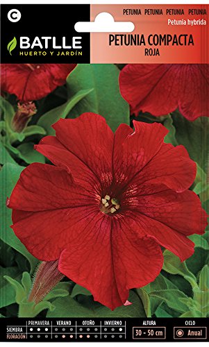 Semillas de Flores - Petunia Compacta rojo fuego - Batlle