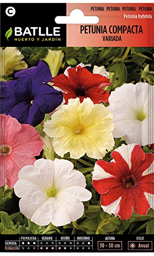 Semillas de Flores - Petunia Compacta variada - Batlle