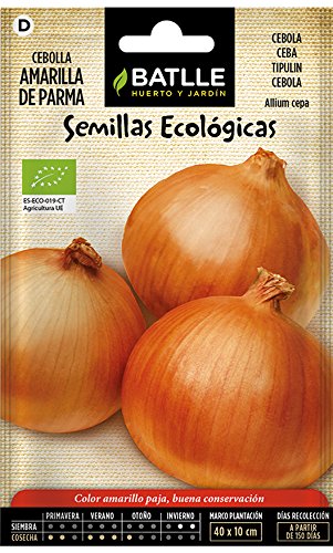 Semillas Ecológicas Hortícolas - Cebolla Amarilla de Parma - ECO - Batlle