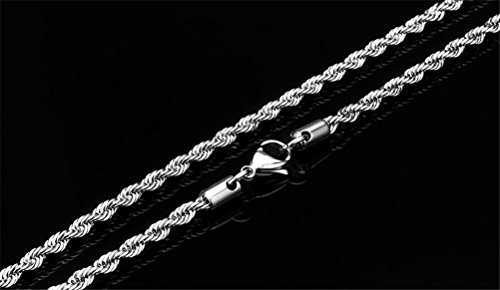 SINLEO Plata Twist Cuerda Cadena de Acero Inoxidable Collar para Hombres Mujeres 2 – 6 mm, 18 – 30 cm