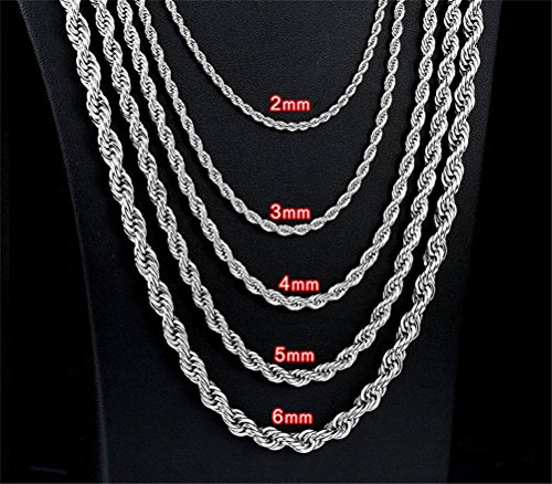 SINLEO Plata Twist Cuerda Cadena de Acero Inoxidable Collar para Hombres Mujeres 2 – 6 mm, 18 – 30 cm