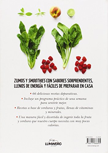 Smoothies. La solución antioxidante. 66 recetas caseras: La solución antioxidante (Come Verde)