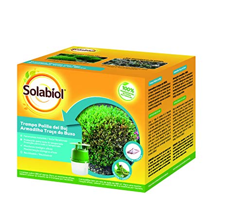 Solabiol Trampa para Polilla de Boj, eficacia Natural, 1 tranpa + 2 jeringuillas de feromonas, Amarillo, 200 Gr