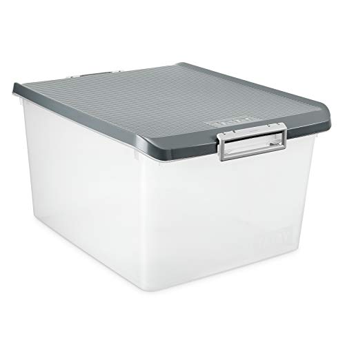 TATAY 1150022 - Caja de Almacenamiento Multiusos con Tapa, 35 l de Capacidad, Plástico Polipropileno Libre de BPA, Gris, 37,7 x 47,5 x 26 cm