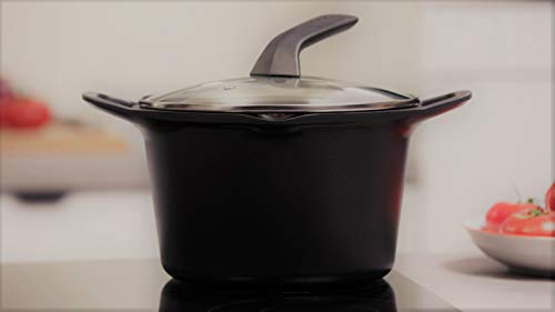 Tefal Aroma - Olla de 22 cm aluminio fundido y tapa, antiadherente revestimiento de titanio, con picos vertedores, apta para todo tipo de fuegos incluso inducción