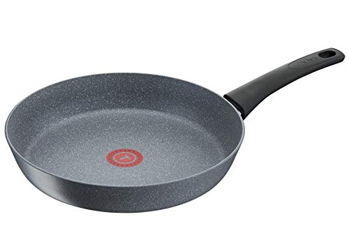 Tefal G12206 Chef's Delight - Sartén (antiadherente, 28 cm, con termo de efecto piedra)