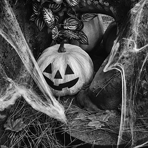 Tela Araña, Arañas Decoraciones Halloween, Casa Embrujada Telarañas, con 6 Negro Arañas, Decoración De Telarañas Blancas para Decoración De Casa Encantada De Halloween En Interiores Y Exteriores