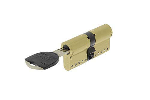 Tesa Assa Abloy TK153030L - Cilindro de Alta Seguridad, TK100, Doble Embrague, Leva Larga, Latonado, 30 x 30 mm