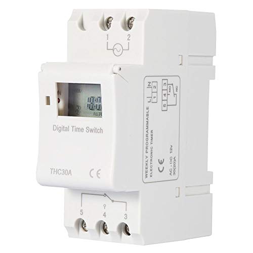 THC Nuevo temporizador programable Interruptor de tiempo Relé digital LCD DIN 30A RAIL AC-DC 12/24/110 / 220V(12V)