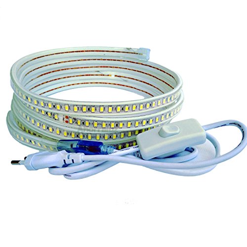 Tira Led de 220v 5730 120 Led/m con INTERRUPTOR. IMPERMEABLE Blanco Frío o Cálido Waterproof IP67 strip 5630 (1M, Blanco Frío)