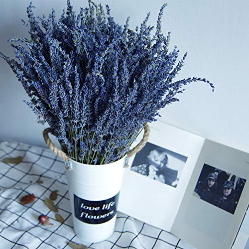 TooGet Flores de Lavanda Natural, Fragante Ramo de Lavanda Seca 100 Se Deriva de 40-45cm de Largo, Flores Decorativas Ramo de Flores para La Decoración del Hogar, Regalo, Boda o Cualquier Ocasión