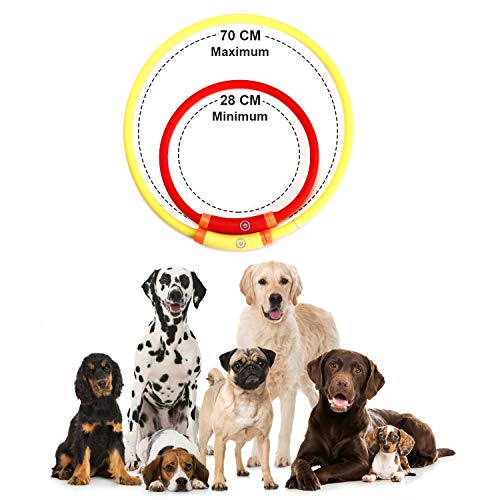 Toozey Luminoso Collares para Perro LED Durante 20 Horas de Luz Continua Impermeable, USB Recargable Cortable Tira de Luz para Collar de Perro de Seguridad Nocturna - 3 Modo (Rojo)