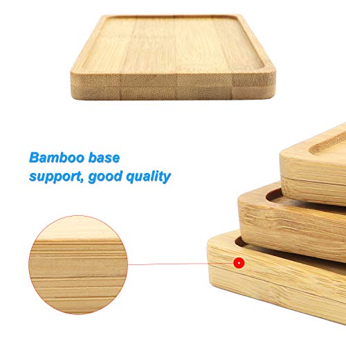 TsunNee 3 bandejas de bambú, platillo rectangular, para plantas suculentas, bandeja de madera, posavasos de tazas, soporte de papel