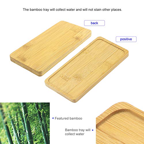 TsunNee 3 bandejas de bambú, platillo rectangular, para plantas suculentas, bandeja de madera, posavasos de tazas, soporte de papel