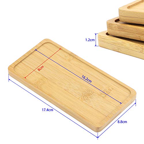 TsunNee 3 bandejas de bambú, platillo rectangular, para plantas suculentas, bandeja de madera, posavasos de tazas, soporte de papel