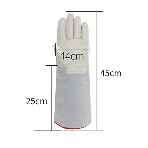 TUYU guantes anticongelantes resistentes a bajas temperaturas que soportan la temperatura hasta -260 ° C – Apto para congelador, garaje frío y laboratorio, M: 45CM, 2