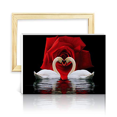 ufengke Kit Pintura de Diamantes 5D Dos Cisnes Blanco Punto de Cruz Diamante Completo DIY para Amantes del Arte, con Marco de Madera, Diseño 25x35cm