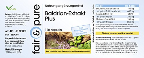 Valeriana Complex Plus - Extracto de Valeriana - Vegano - Con Lúpulo y Melisa - Alta pureza - 120 Cápsulas