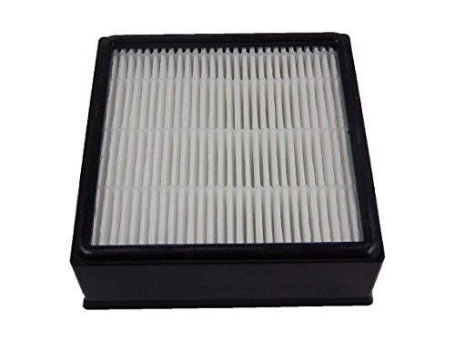 vhbw Filtro Hepa antialérgico de recambio para aspiradoras Nilfisk King 500 GM, 510 GM, 520, 525, 530, 540, GM500, GM510 reemplaza 22356800