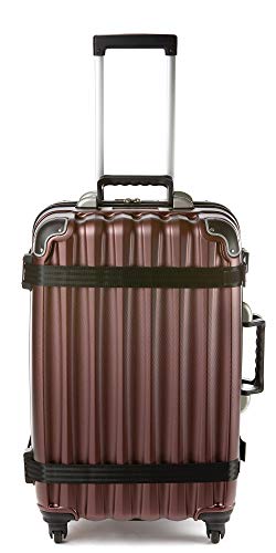 VinGardeValise 05 Grande - Maleta de Viaje para vinos & de usos múltiples - 69 x 45 x 35 cm - hasta 12 Botellas (Borgoña)