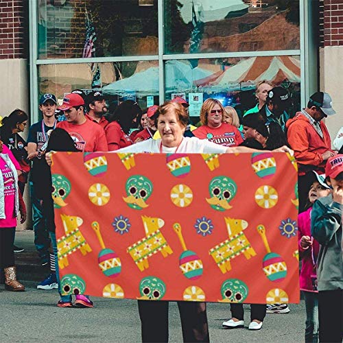 Viplili Banderas, Sugar Skull Pinata Maraca Flower Flag: 3x5 FT Flag Tough The Strongest, Longest Lasting Flag National Flag Outdoor Flags