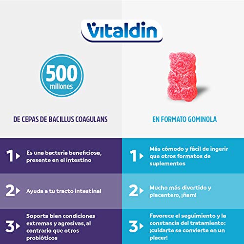 VITALDIN Probiótico gummies - 500 millones de cepas de Bacillus Coagulans por dosis diaria - 60 gominolas (suministro para 1 mes); sabor a Frutas - Flora Intestinal - Apto para Niños & Adultos