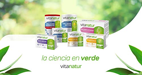 VITANATUR SYMBIOTICS G 14 Sobres - Complemento alimenticio, Sistema digestivo, equilibrio de la flora intestinal, probióticos, prebíoticos y vitaminas B