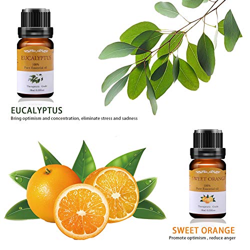 VSADEY Aceites Esenciales Aromaterapia Aceites Esenciales para Humidificador Essential Oils Set 6 x 10ml 100% Puro y Naturales (Naranja Dulce, Lavanda, Arból de Té, Menta, Limoncillo, Eucalipto)