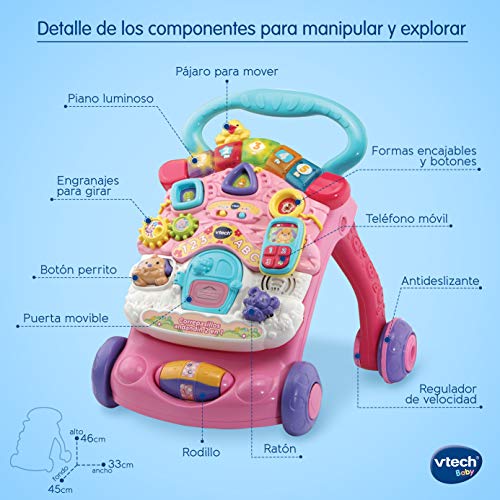 VTech - Correpasillos Andandín 2 en 1, Diseño Mejorado, Andador Bebé InTeractivo Plegable y Regulador de Velocidad, Color Rosa (80-505657) , color/modelo surtido