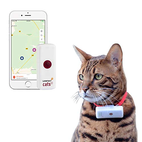 Weenect Cats 2 - El Collar GPS para Gatos más pequeño del Mundo