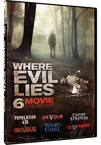 Where Evil Lies: Four Movie Collection (2 Dvd) [Edizione: Stati Uniti] [Italia]