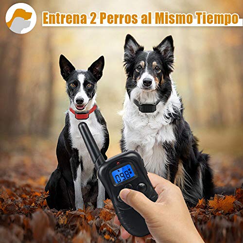 Wodondog Collar de Adiestramiento para Perros, Resistente al Agua con vibración y Sonido, Rango Remoto de 300 Metros - 2 Collars