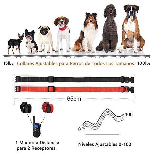 Wodondog Collar de Adiestramiento para Perros, Resistente al Agua con vibración y Sonido, Rango Remoto de 300 Metros - 2 Collars