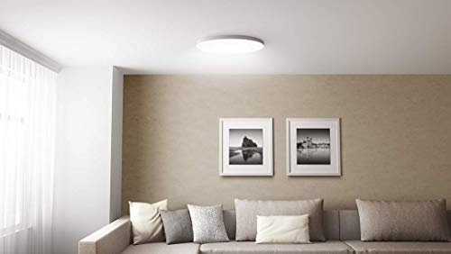 Xiaomi Smart Ceiling Light Blanco LÁMPARA DE Techo LED 28W 2700K-6500K 320MM WiFi Bluetooth con App Control Remoto