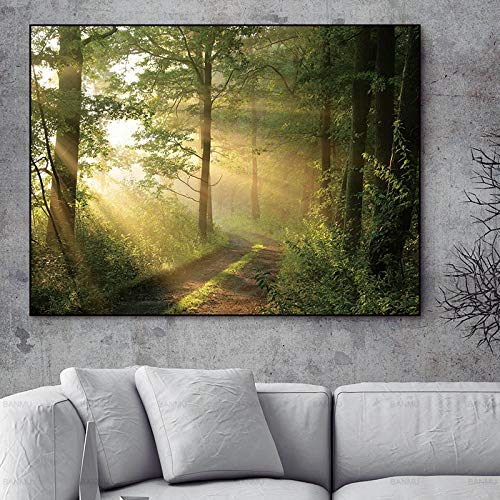 xinyouzhihi Bosque Cartel Imprimir Lienzo Pintura Imágenes Imprimir Obra de Arte Decoración de la Pared Poster Artworks For Homes 40x50cm Sin Marco