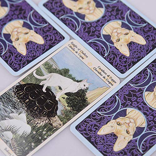 Xuebai 78 Cartas Tarot de Pagan Cats Juego de Mesa de Fiesta en inglés Completo Oracle Cards Tarot of Pagan Cats