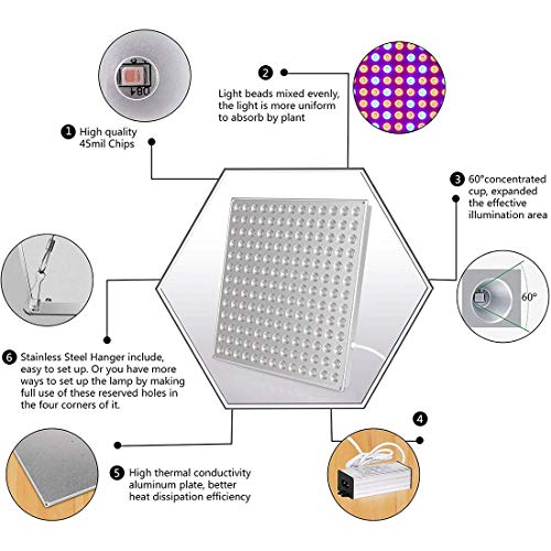 Yasbed Lámpara LED para plantas, 75 W, luz de crecimiento para plantas de interior, espectro completo, luz para plantas, hidropónica, invernadero, suculentas, flores