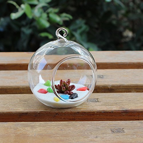 Youseexmas Juego de 4 Portavelas Colgantes de Cristal Forma de Bolas Para Terrario o Jardín, Diámetro de 80 mm