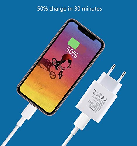 ZLONXUN USB C Cargador rápido 18W con Cable USB C 1m Compatible con iPad Pro 12.9 Pulgada 3ra/4ta Gen, iPad Pro 11 Pulgada,Samsung Galaxy Tab S4/S6/S6 Lite/S7,Google Pixel 2 3 4 3a XL