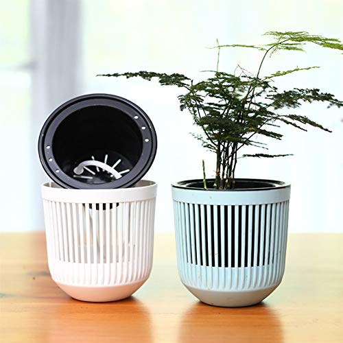 ZXD Self Watering Pots Watering Planter PP de plástico de Agua Verde eneldo jardín Decorativo Moderno Planter Pot económico y práctico (Color : Blue)