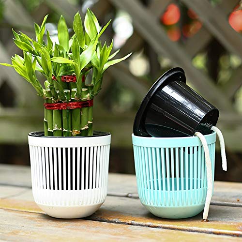 ZXD Self Watering Pots Watering Planter PP de plástico de Agua Verde eneldo jardín Decorativo Moderno Planter Pot económico y práctico (Color : Blue)