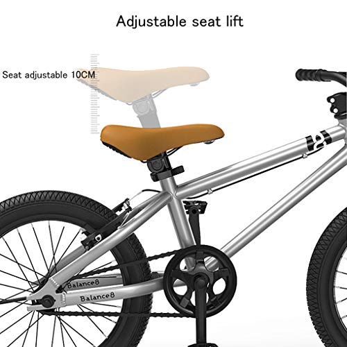 ZYD Bicicleta de montaña para niños Acero con Alto Contenido de Carbono 20 Pulgadas 5-11 años | Bicicleta para niños y jóvenes de una Velocidad, Frenos en V Delanteros y Traseros, rígida, Plateado