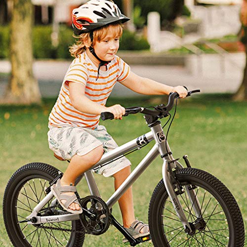 ZYD Bicicleta de montaña para niños Acero con Alto Contenido de Carbono 20 Pulgadas 5-11 años | Bicicleta para niños y jóvenes de una Velocidad, Frenos en V Delanteros y Traseros, rígida, Plateado