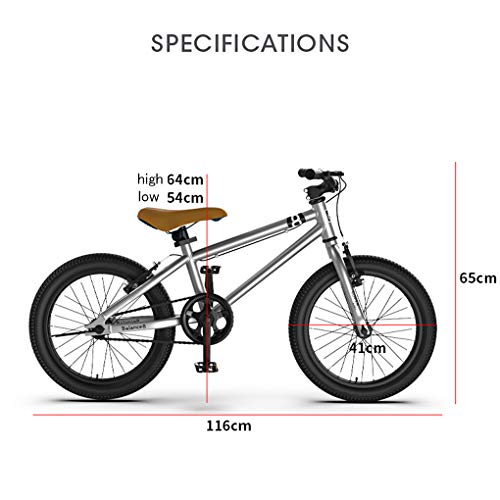 ZYD Bicicleta de montaña para niños Acero con Alto Contenido de Carbono 20 Pulgadas 5-11 años | Bicicleta para niños y jóvenes de una Velocidad, Frenos en V Delanteros y Traseros, rígida, Plateado