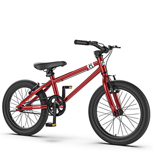 ZYD Bicicleta de montaña para niños Acero con Alto Contenido de Carbono 20 Pulgadas 5-11 años | Bicicleta para niños y jóvenes de una Velocidad, Frenos en V Delanteros y Traseros, rígida, Plateado